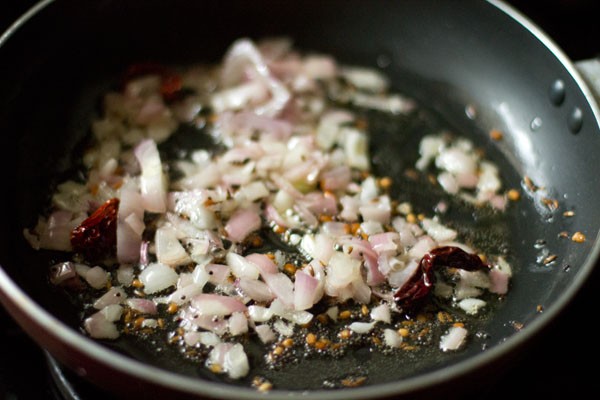 mix onions with the mixture