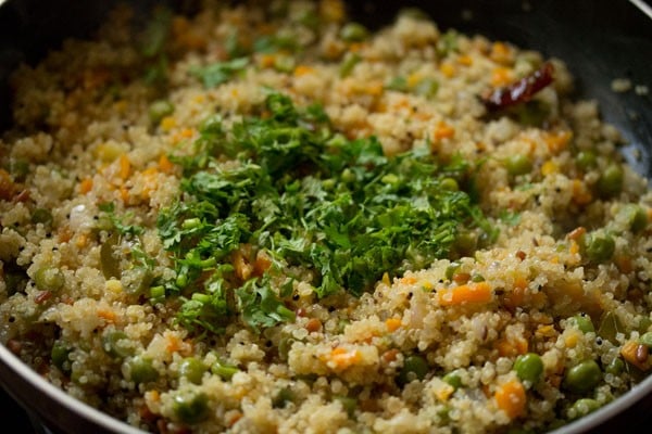 coriander leaves on top of quinoa upma