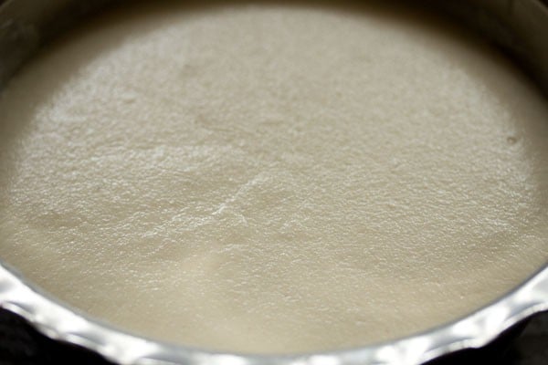 fermented uttapam batter