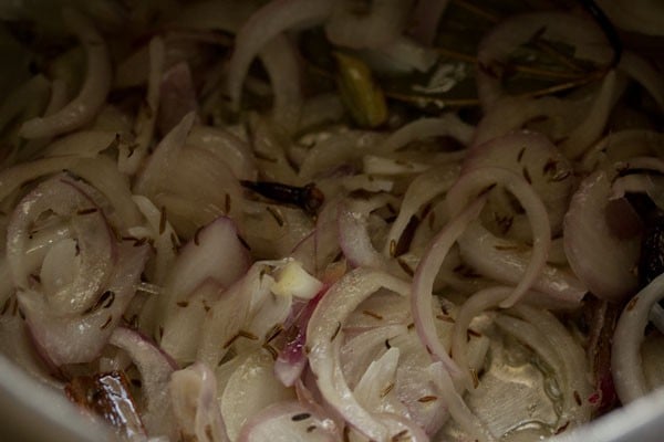 mix onions with spices