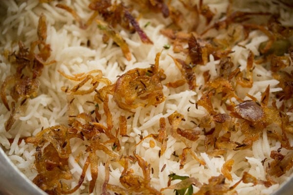 topping biryani with fried onions