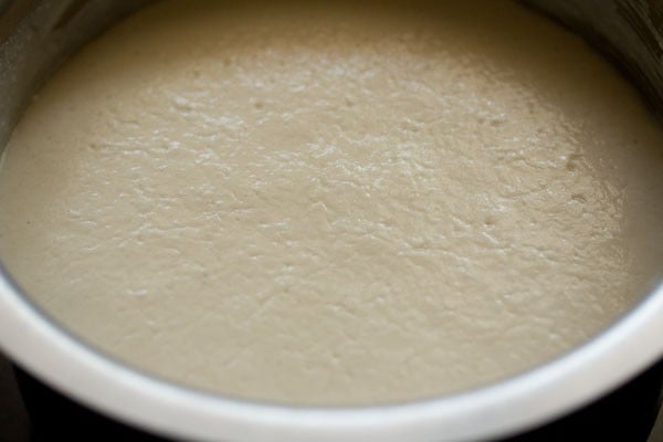 fermented batter