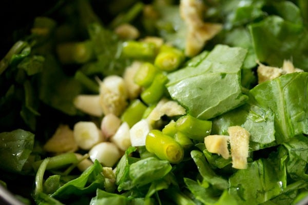 Spinach, chillies, ginger and cloves of garlic in the blender