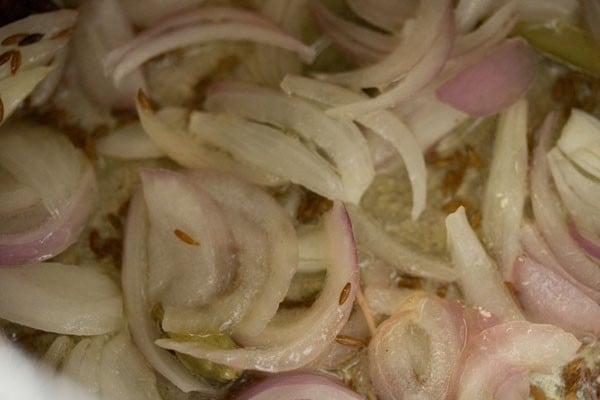 Thinly sliced onions 