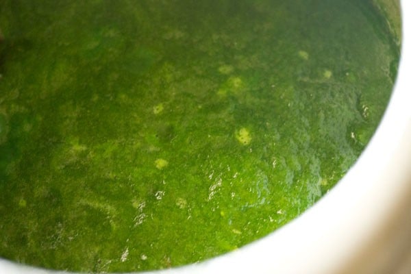 Spinach puree and spices 