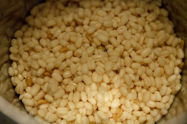 making idli dosa batter in a mixie