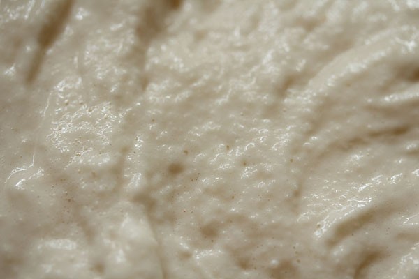 idli dosa batter in mixie