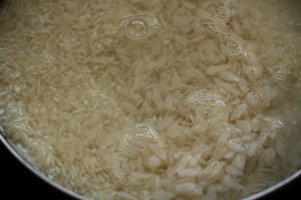 making idli dosa batter in a mixie