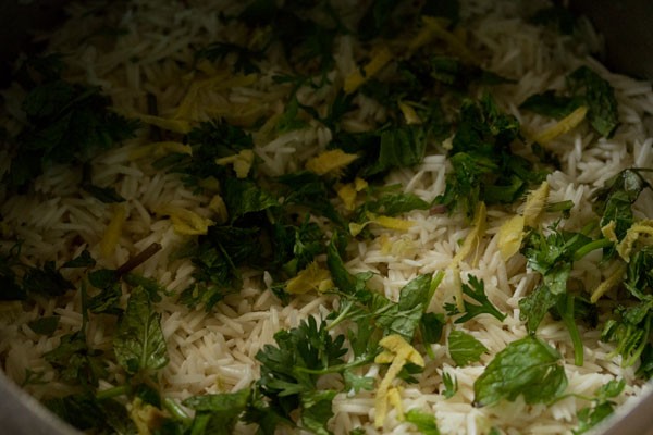 chopped herbs and ginger juliennes added on the rice. 