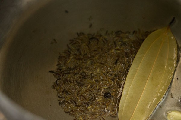 whole spices added to hot oil in pressure cooker. 