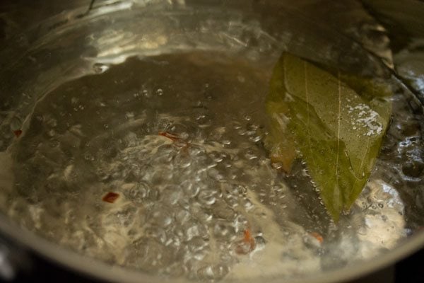 water vigorously boiling in pan.