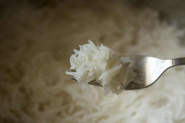 portion of par-cooked basmati rice on a fork.