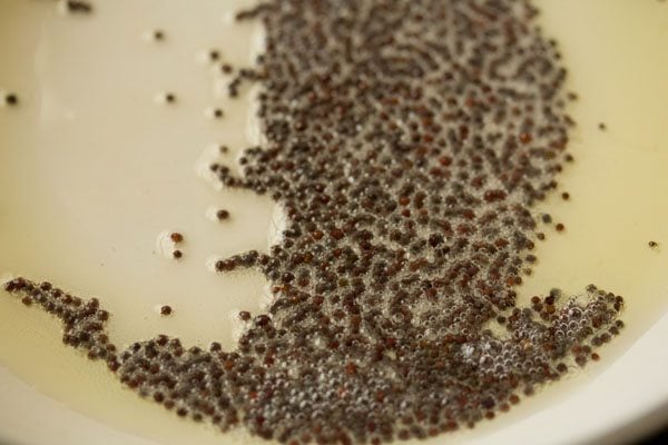 mustard seeds spluttering in hot oil in pan. 