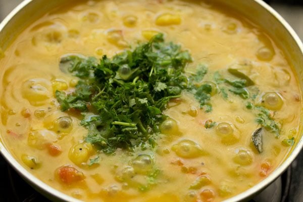 chopped coriander leaves added to the cooked potato sagu. 