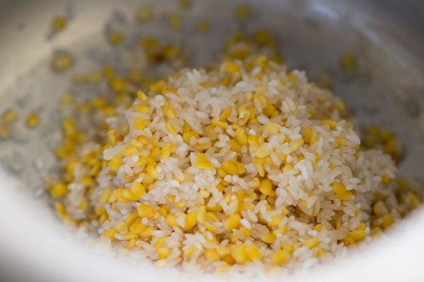 rinsed mung dal and rice in a pressure cooker