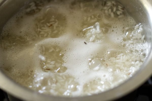 Cook the rice in the pan