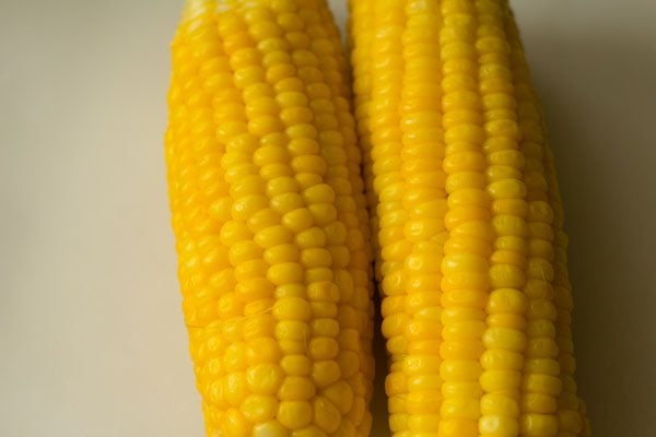 boiling corn 