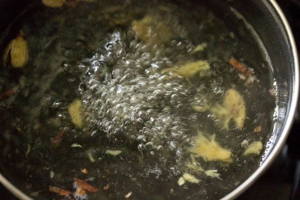 Spices boiling in water