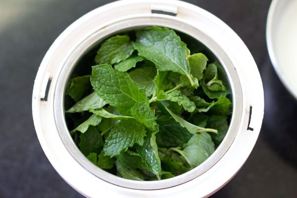 mint for mint raita recipe