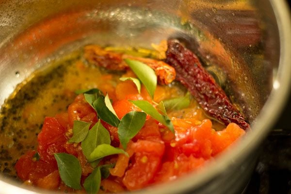 crushed tomatoes and curry leaves added to the pan. 