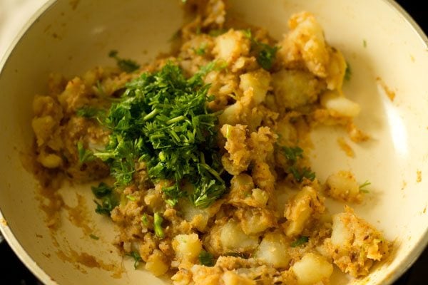 chopped coriander leaves added to cooked potato mixture. 