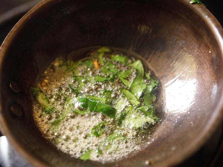 adding curry leaves, asafoetida in the oil