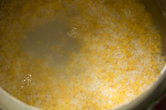 mung lentils, rice and water in a pressure cooker
