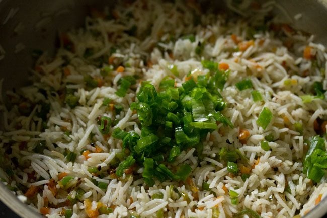 spring onions added for garnish