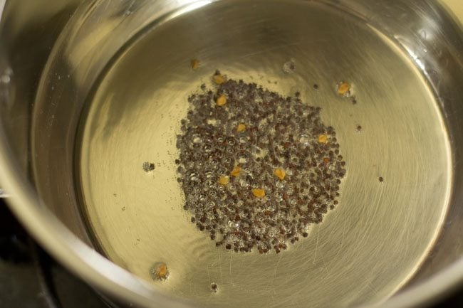 sautéing mustard seeds and methi seeds in hot oil in a pan for making bendakaya curry. 