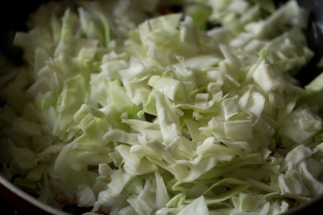 cabbage in pan