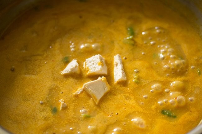 paneer added to cottage cheese curry