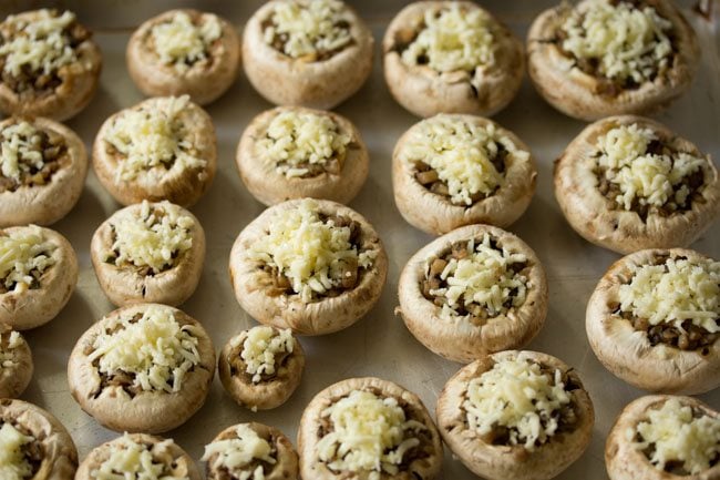 stuffed mushrooms in a baking tray before baking. 