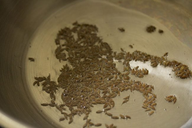 cumin seeds spluttering in hot oil in pan for making tomato dhaniya shorba. 