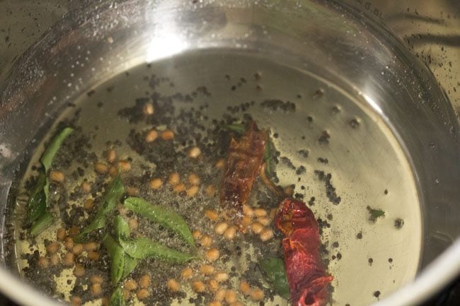 curry leaves, asafoetida and dried red chilies added to the pan for veg sagu recipe. 