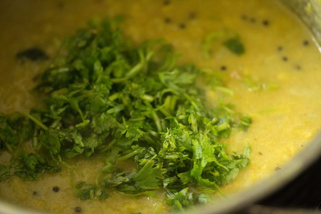 chopped coriander leaves added to cabbage kootu. 