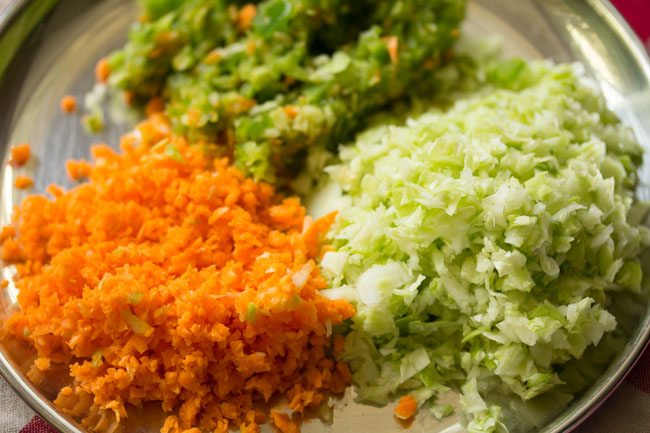 grated carrots, cabbage and green capsicum peppers