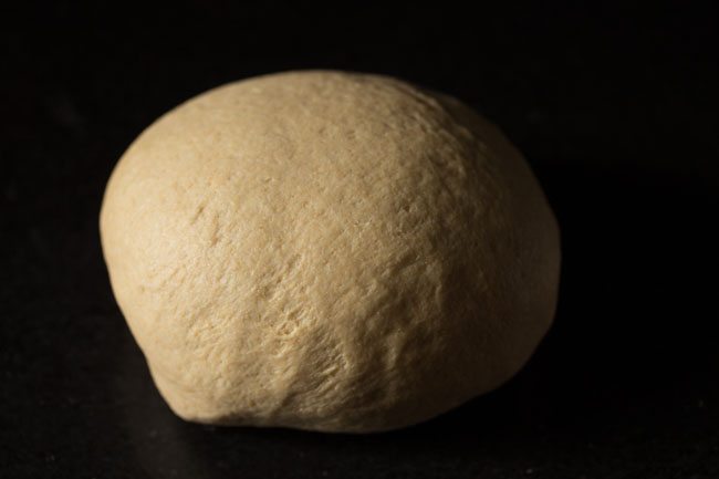 lightly kneaded dough. 