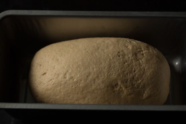 log shaped dough placed in a well greased loaf pan. 