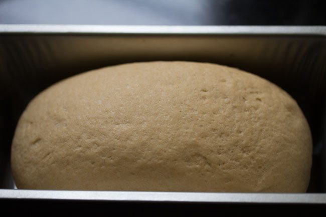 dough after 32 minutes. 