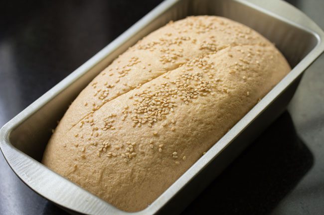 sesame seeds sprinkled on proved dough loaf. 