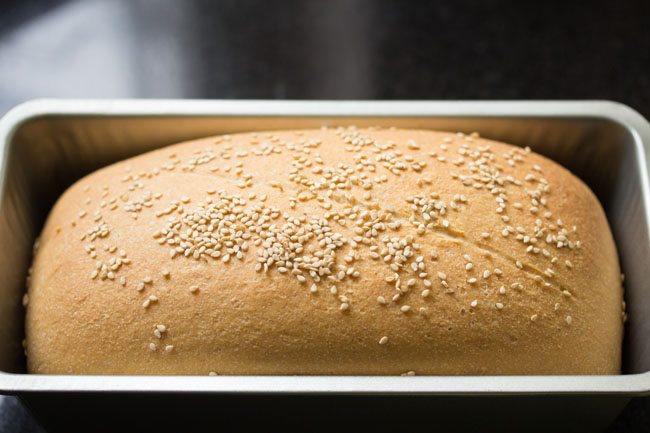 baked sandwich bread loaf. 