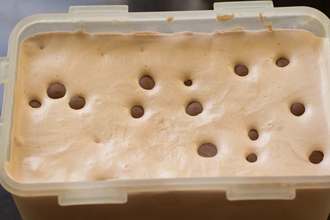 chocolate chip ice cream set in the container 