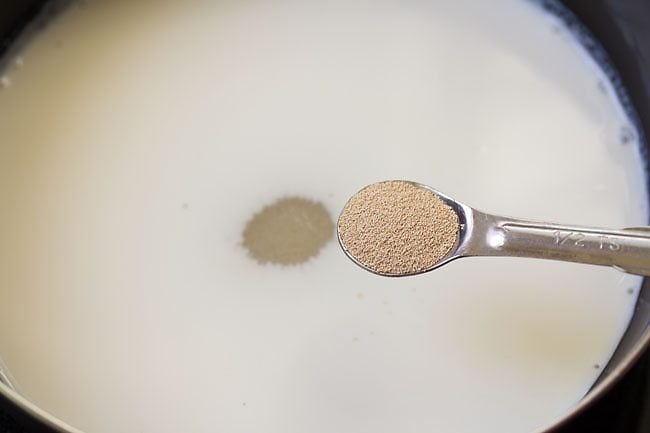 yeast being added to milk