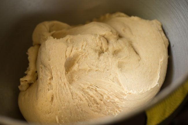 whole wheat pizza dough after kneading.