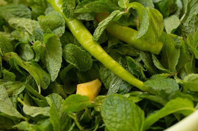 mint leaves with stem