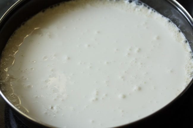 cream in milk+sugar mixture in bowl