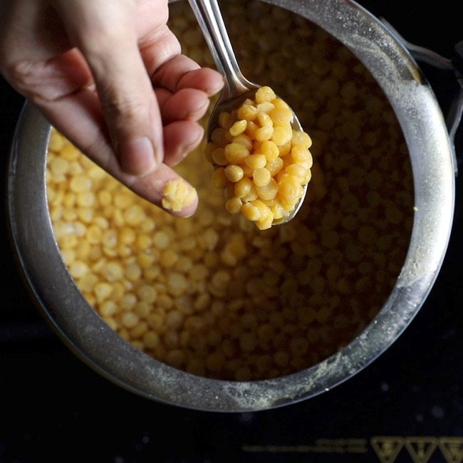 checking the doneness of chana dal by mashing on the fingertips for making sweet stuffing for holige recipe. 