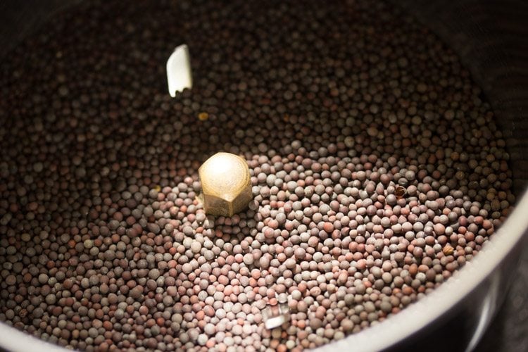 sun dried mustard seeds in a grinder jar 