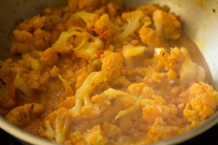 cooking cauliflower curry. 