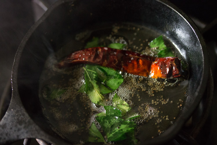 curry leaves and dried red chilies added to oil. 